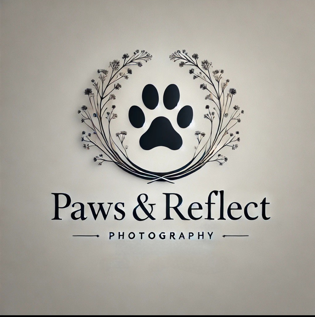 Paws and Reflect Photography